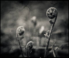 Dernier Voyage I