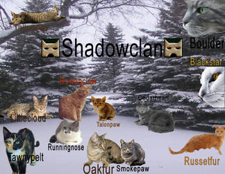 Shadowclan