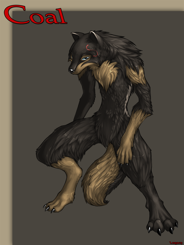 Coal the werewolf