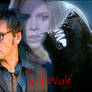 Doctor who Bad Wolf