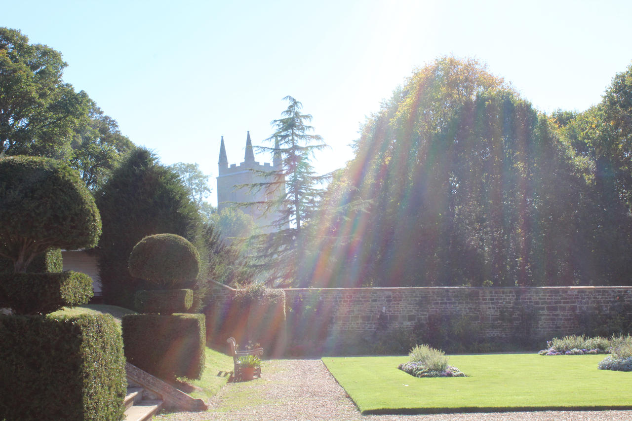 Untitled by OnonskiWolf70 on DeviantArt