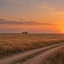 The Road Home at Dusk