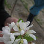 Little Hints of Spring