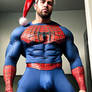 Spiderman X-mas 1