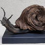 Driftwood Art - Snail