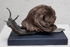 Driftwood Art - Snail