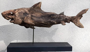 Driftwood Shark