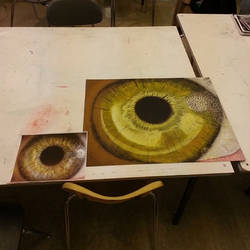 The eye (pastel)