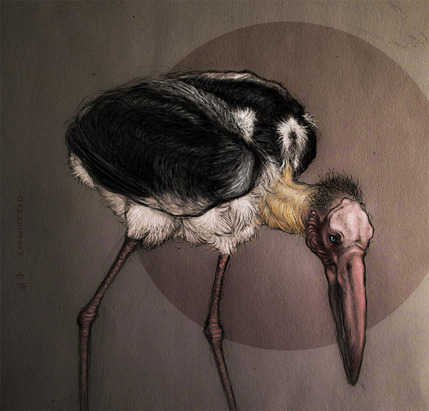 Decimation Bird #7 decembird challenge- endangered by MechanicPigeon on DeviantArt