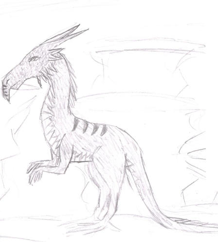 Feathered Wyrm By Cirilonwe On DeviantArt