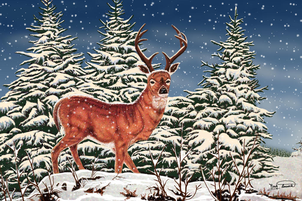 Песенку олень. Лесной олень. Иллюстрации олень. Олень зимой. Вышивка олени в зимнем лесу.
