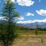 Bishop California