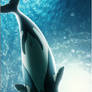Hector's Dolphin
