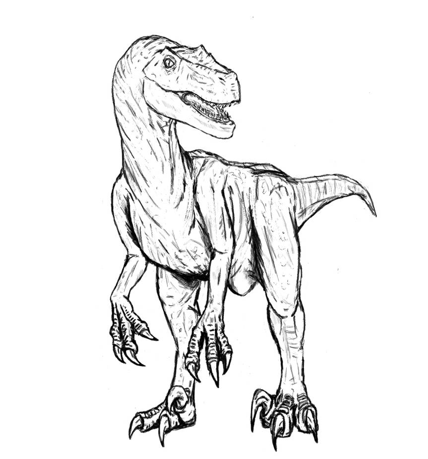 Velociraptor Sketch By Ahunterinsilence On DeviantArt velociraptor-sketch-by-ahunterinsilence-on-deviantart