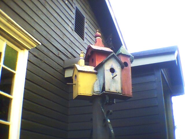 Bird Hotel