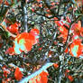 Red Flowers 1