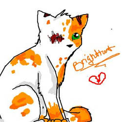 :74: brightheart