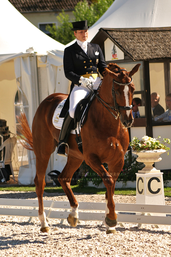 Dressage