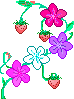 Aomi Strawberry Flowers