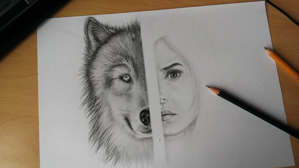 Half Human Half Lion Face Drawing Half Human Half Lion Face Drawing