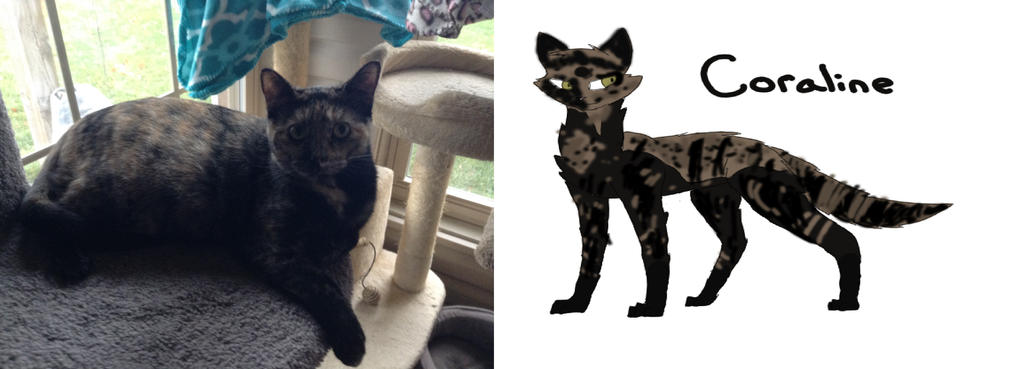 My Cat As A Drawing Coraline By Painterraven On Deviantart