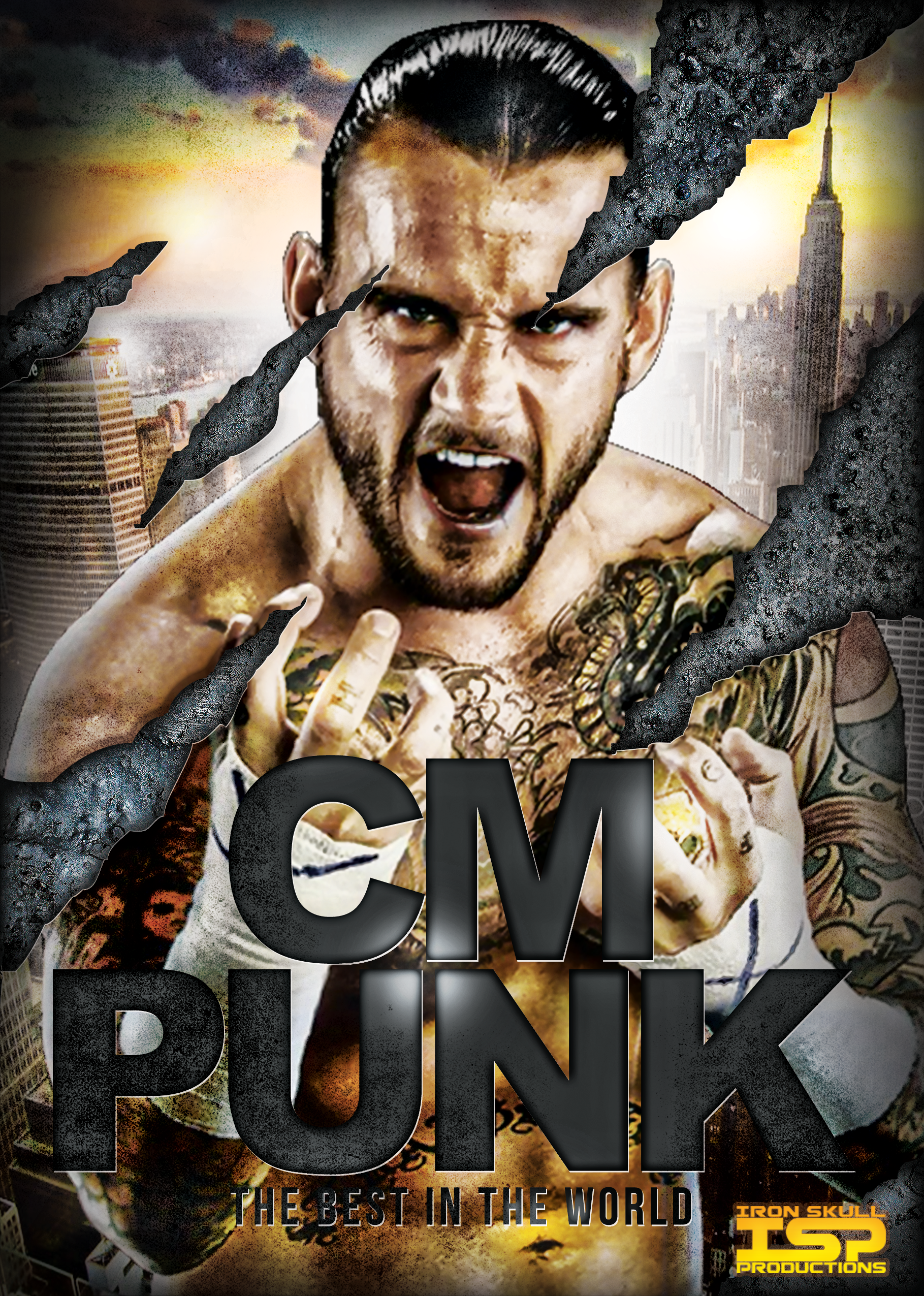 WWE CM PUNK poster