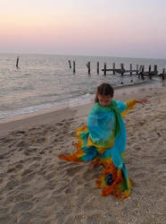 Freya veils on beach at sunset