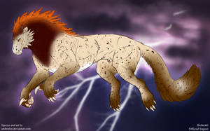 Thumbnail for KT-070: Golden Boy