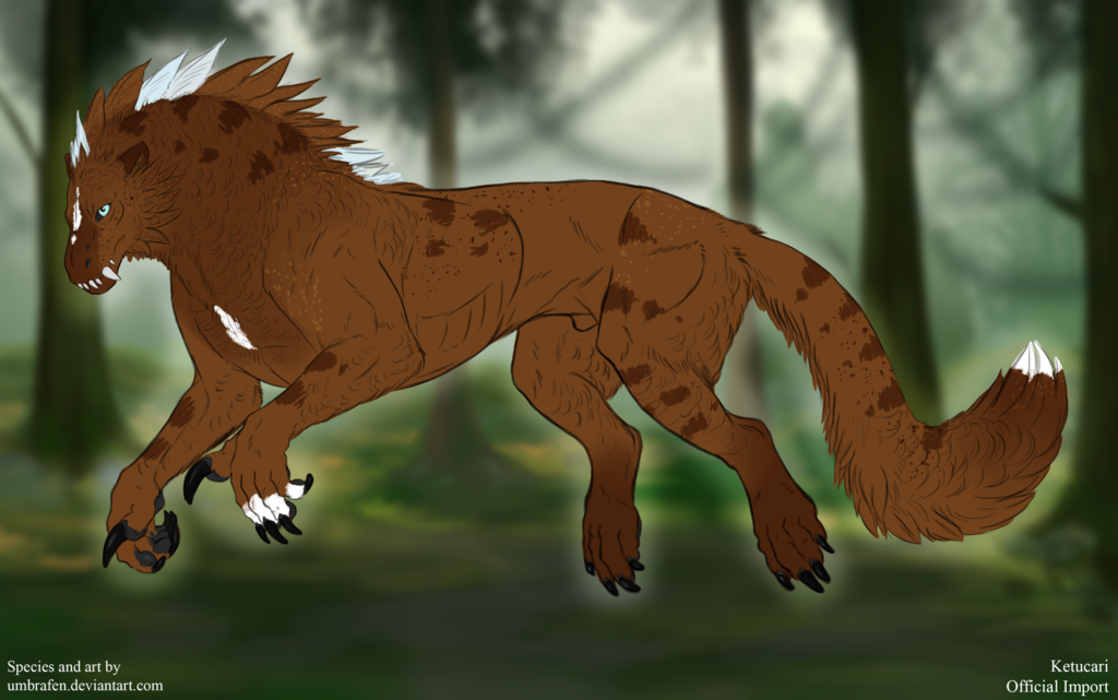 KT-294: Jaqui
