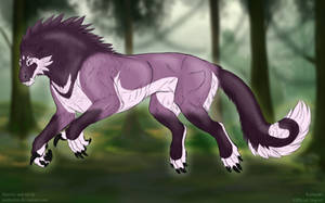 Thumbnail for KT-346: Zinnia