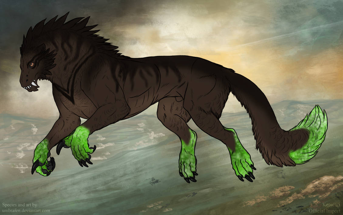 KT-521: Balaemorys