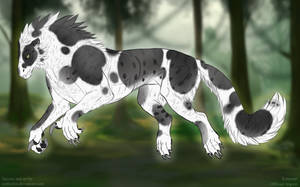 Thumbnail for KT-653: Magnolia