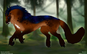 Thumbnail for KT-726: Carina