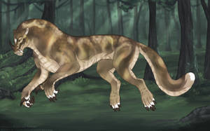 Thumbnail for KT-1054: Old Lac