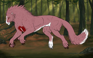 Thumbnail for KT-1232: Caia