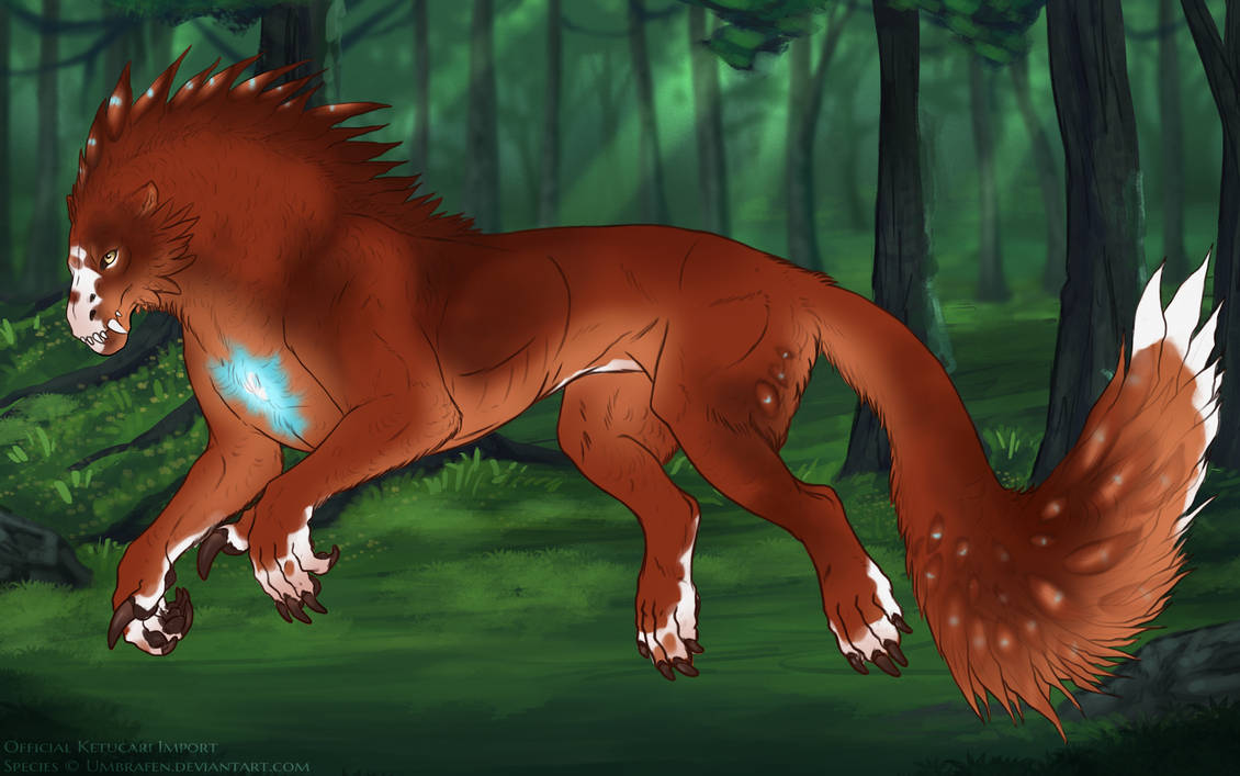 KT-1334: Shani (F/B/E)