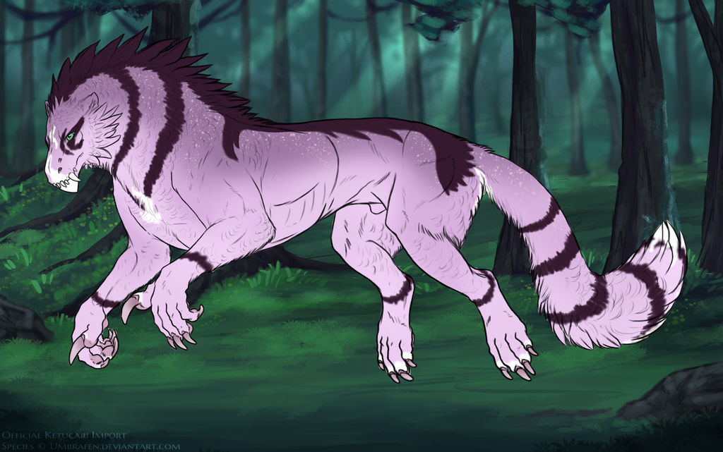 KT-1337: Cosmic Eternity