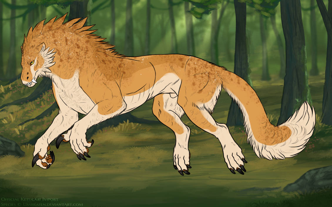 KT-1351: The Golden Floor