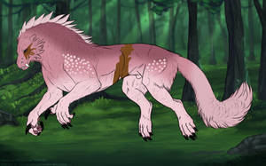 Thumbnail for KT-1462: Ekon