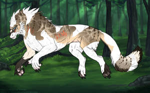 Thumbnail for KT-1593: Samu