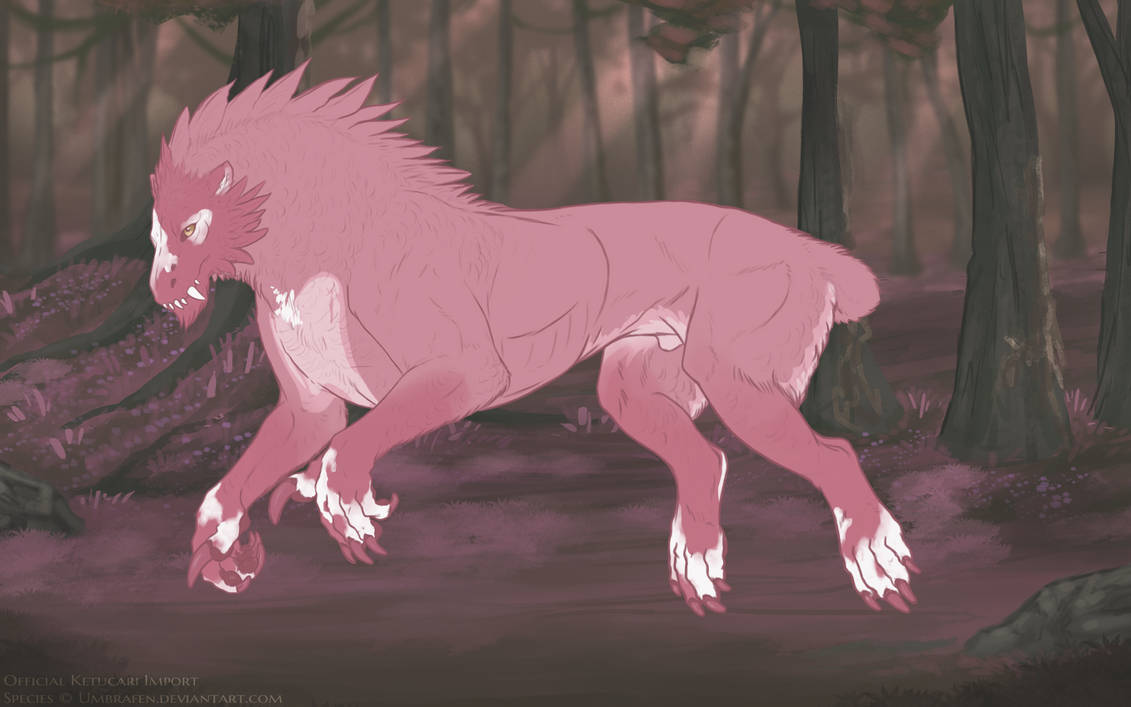 KT-1625: Fjellrose (M/B)