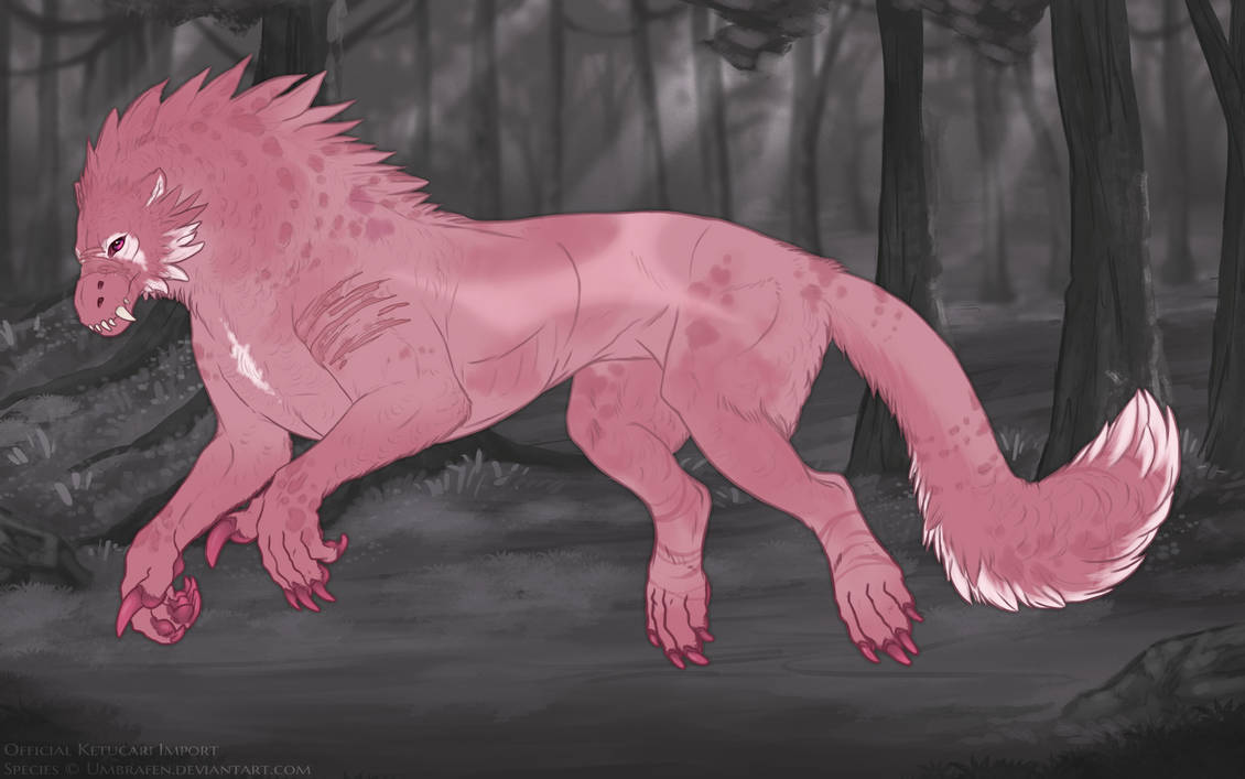 KT-1679: Kallistrate (F/B)