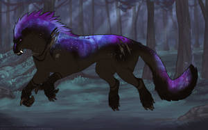 Thumbnail for KT-1702: Noaidi (F/B)