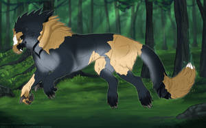 Thumbnail for ST-1712: Cove