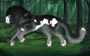 Thumbnail for ST-1732: Snowdrift