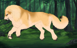 Thumbnail for KT-1734: Laurel