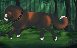 Thumbnail for KT-1728: Trinity (F/B)