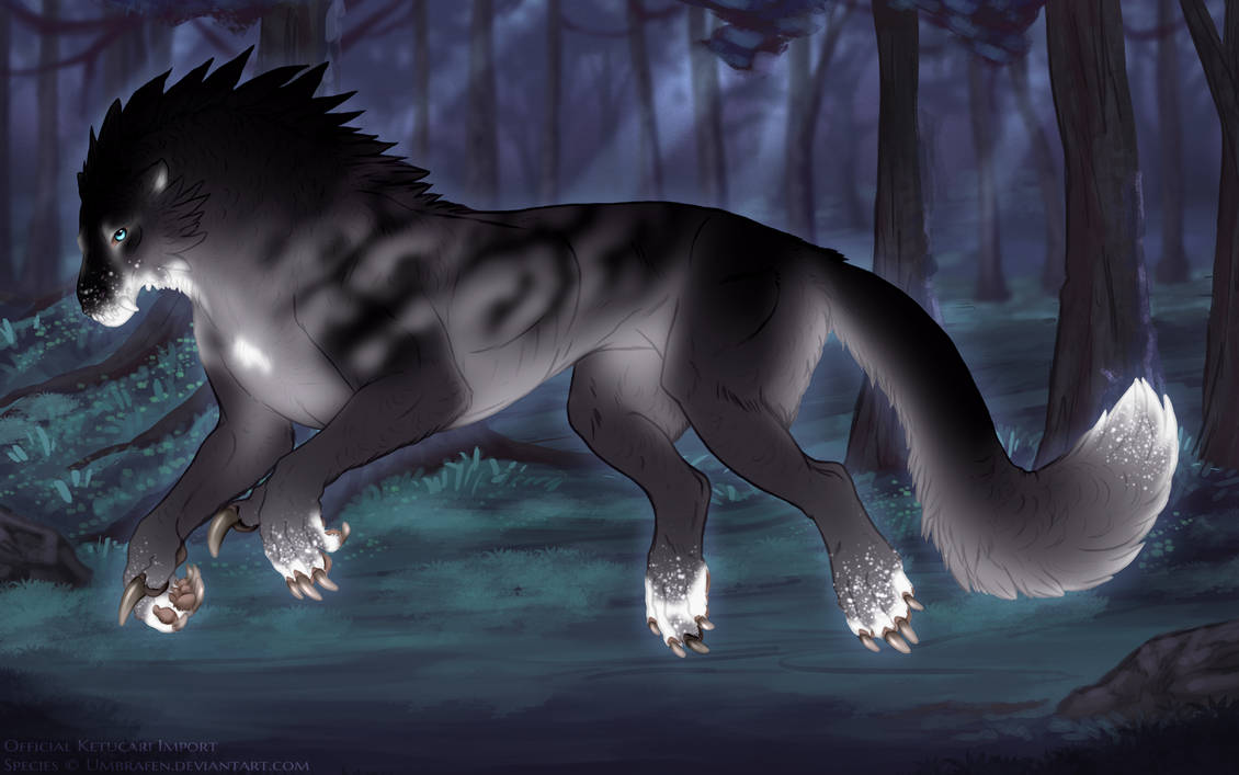 KT-1748: Nightfall (F/B)