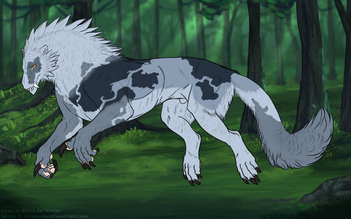 KT-1835: Mungojerrie