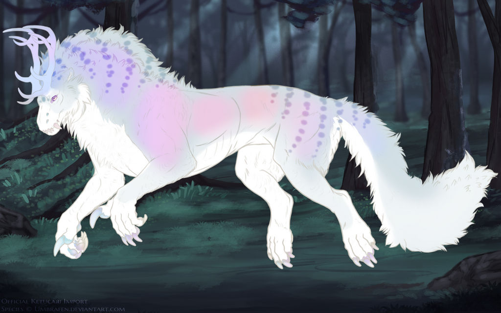 KT-1838: Mushroom (F/B)